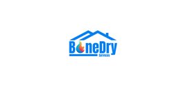 BoneDry Services