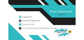 Professional Cleaning Services
